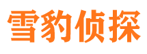 鼎城找人公司